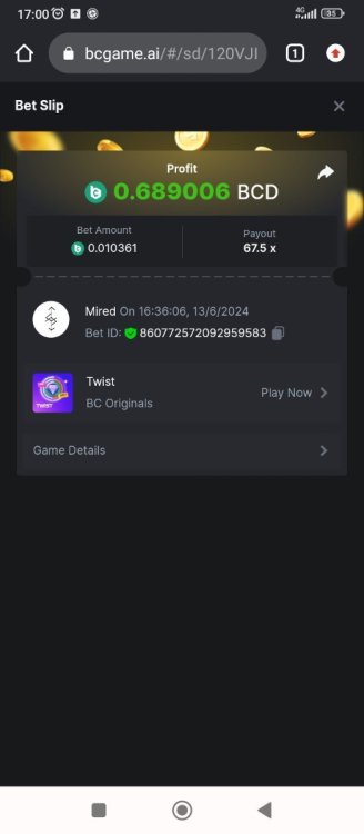 Screenshot_2024-06-13-17-00-37-599_com.android.chrome.jpg